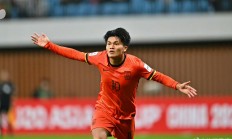 三亿体育体育网址-本土球员崭露头角，球队实力逐渐提升的简单介绍